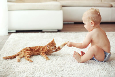 Clean Rug with Child and Cat